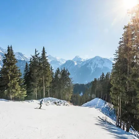 Ancolie - Hauts De Planchamp - Studio Pour 6 Personnes 561